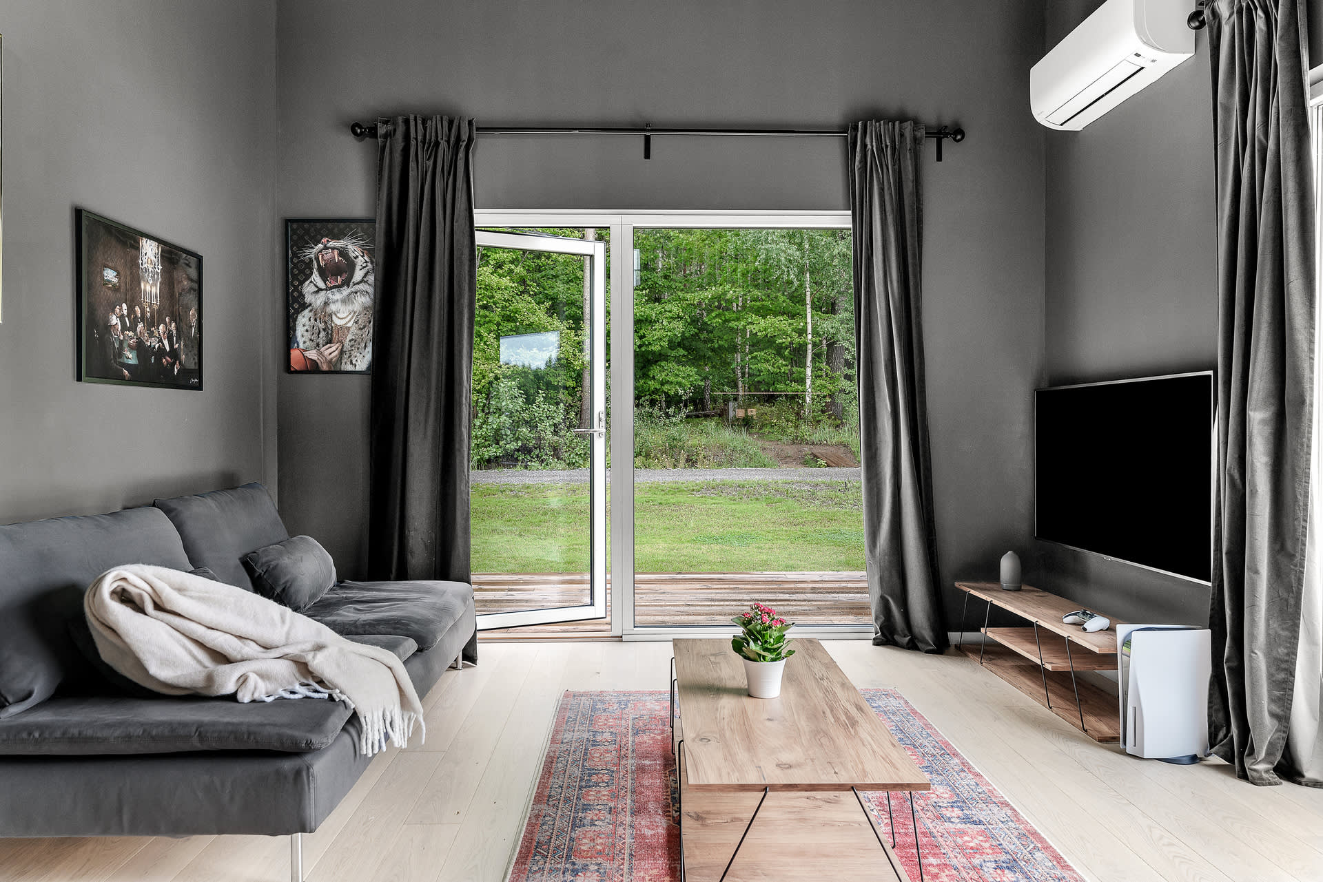 salon murs gris