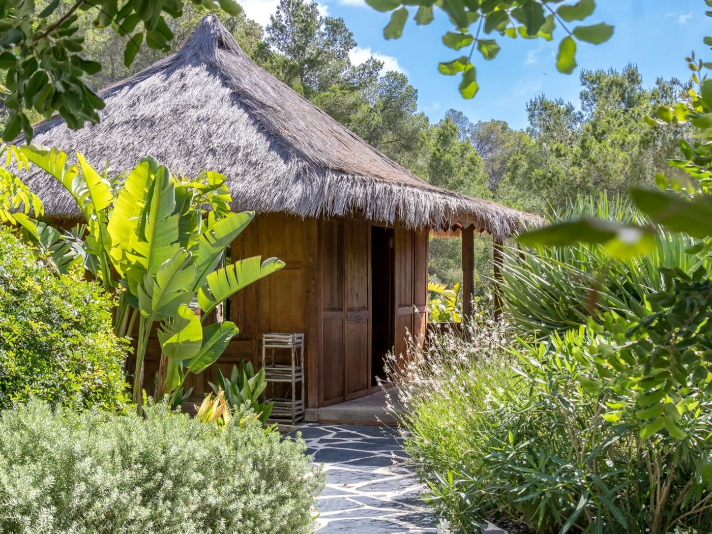 petite maison bois toit de chaume
