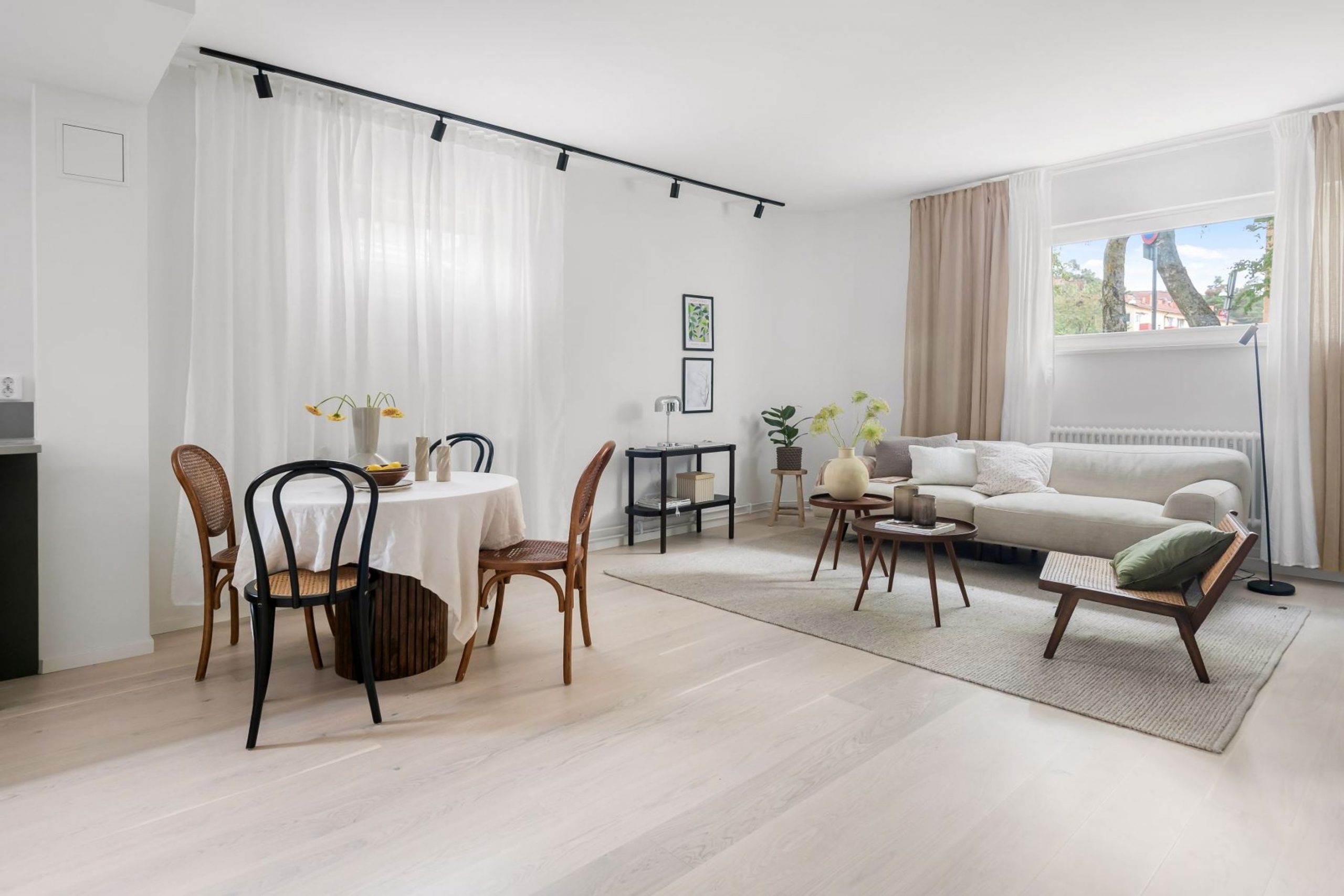 salon décoration scandinave deux-pièces de 56m2 avec verrière