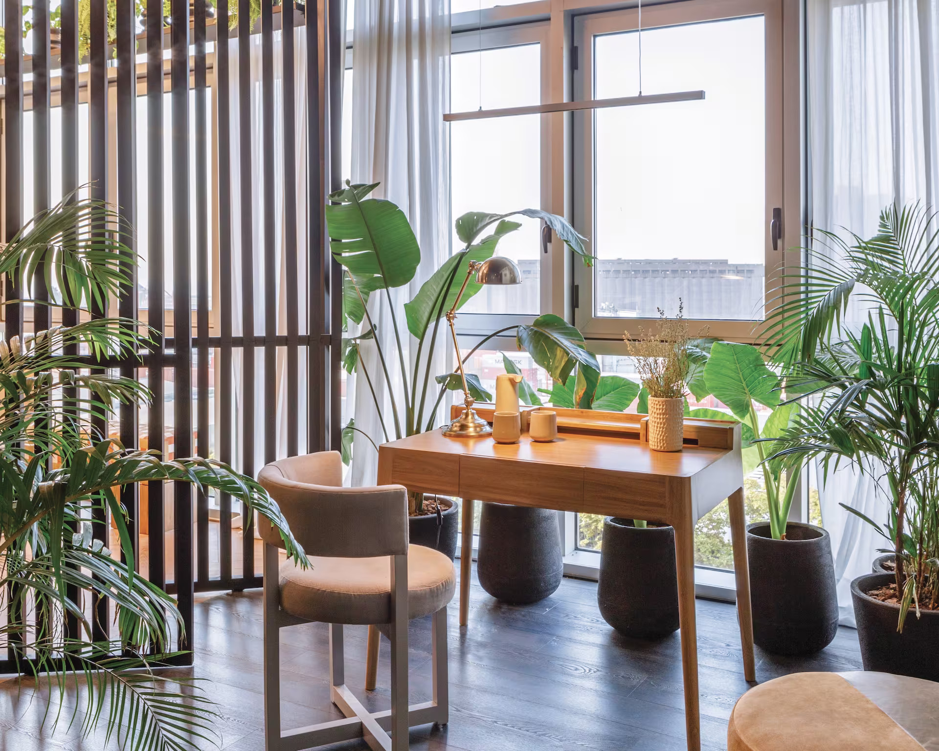 bureau avec plantes vertes