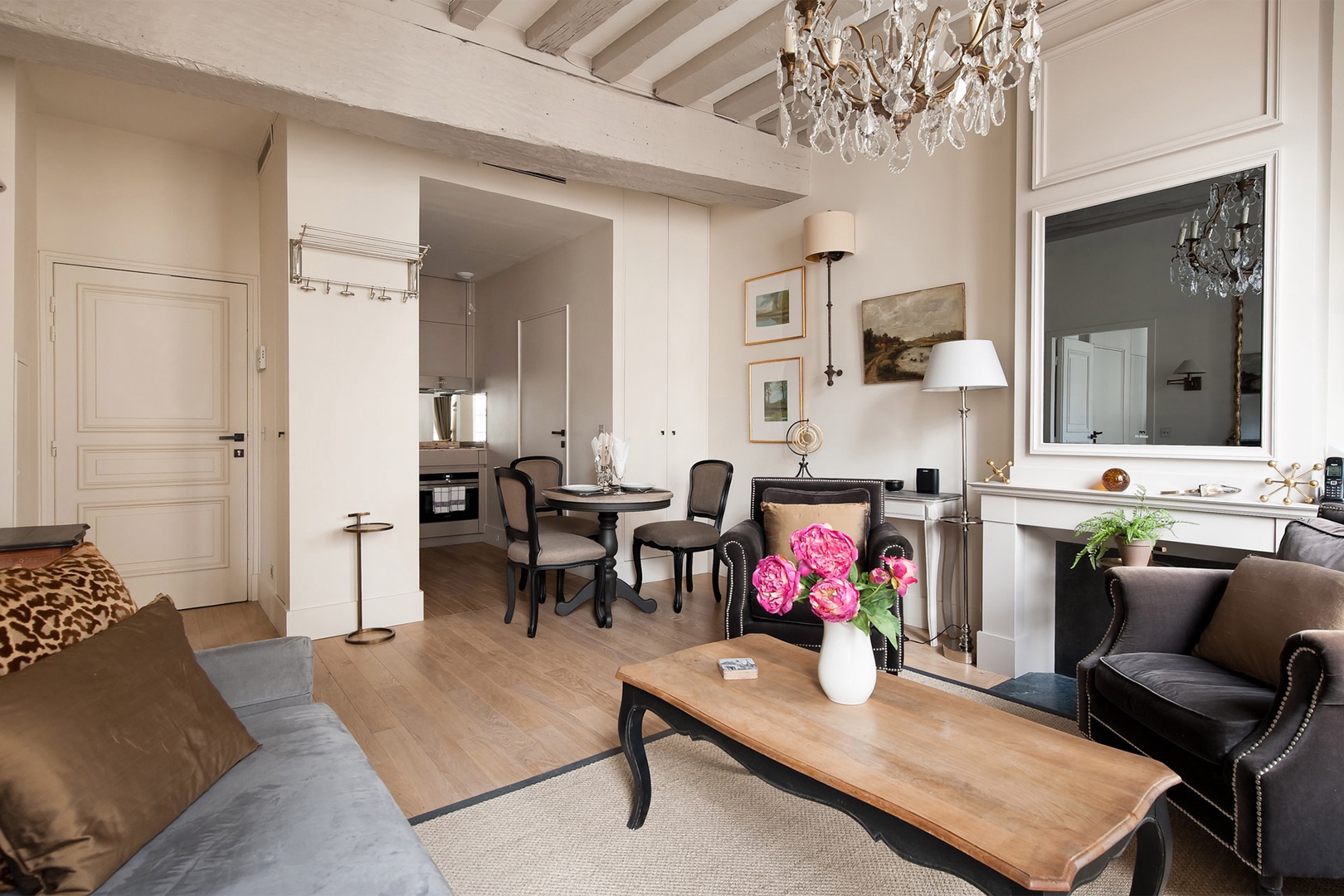 salon appartement Paris deux-pièces 45m2 salon appartement Paris deux-pièces 45m2