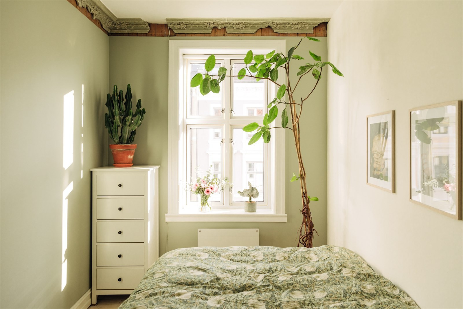 chambre murs verts décoration scandinave chambre murs verts décoration scandinave