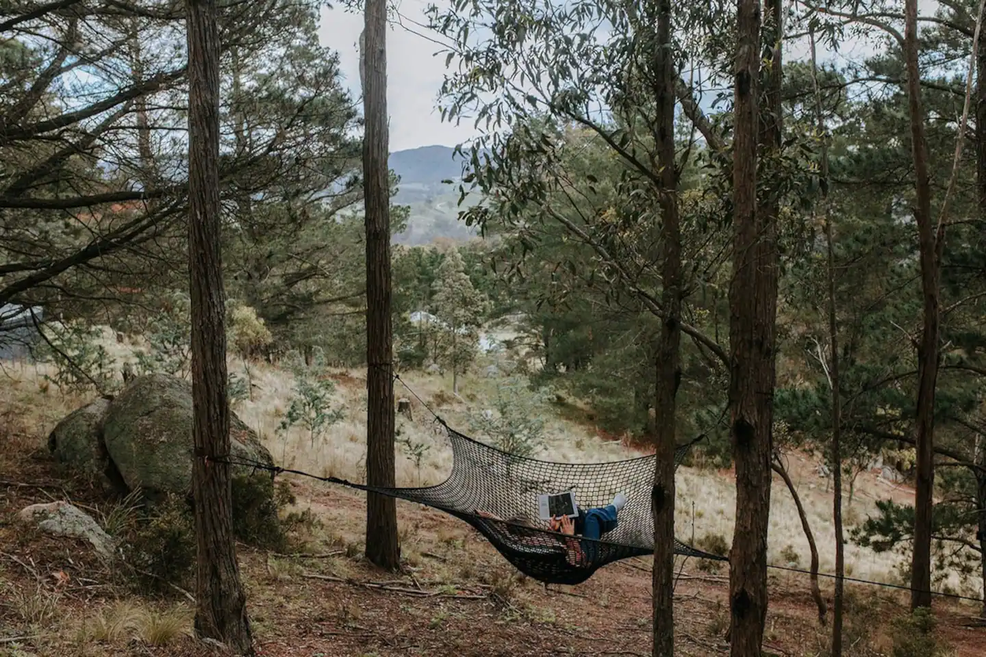 hamac filet dans arbres