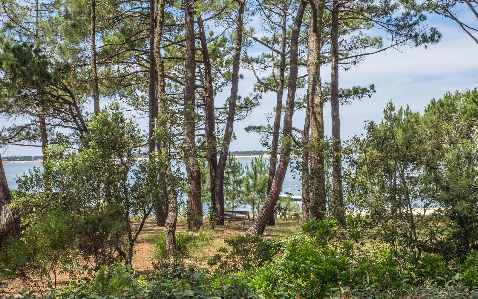 maison authentique Bassin d maison authentique Bassin d'Arcachon