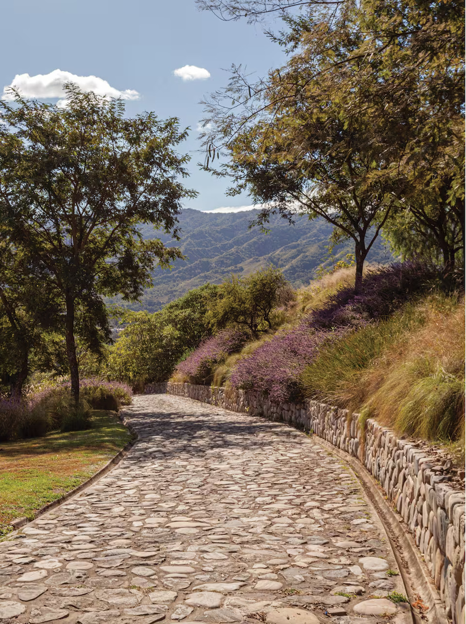chemin pavé dans la campagne chemin pavé dans la campagne