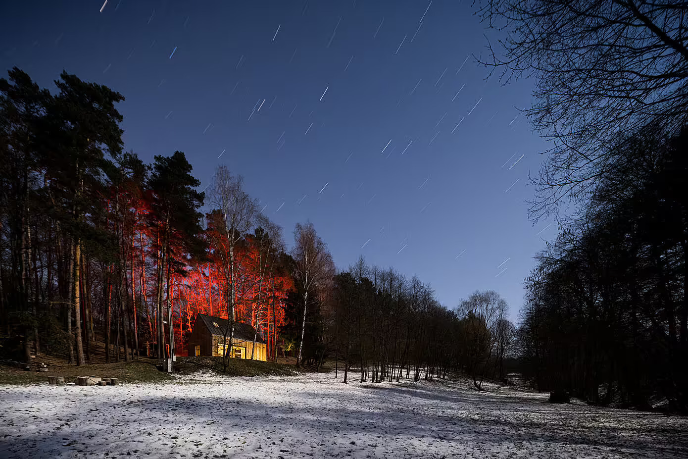 maison dans la forêt vue nuit