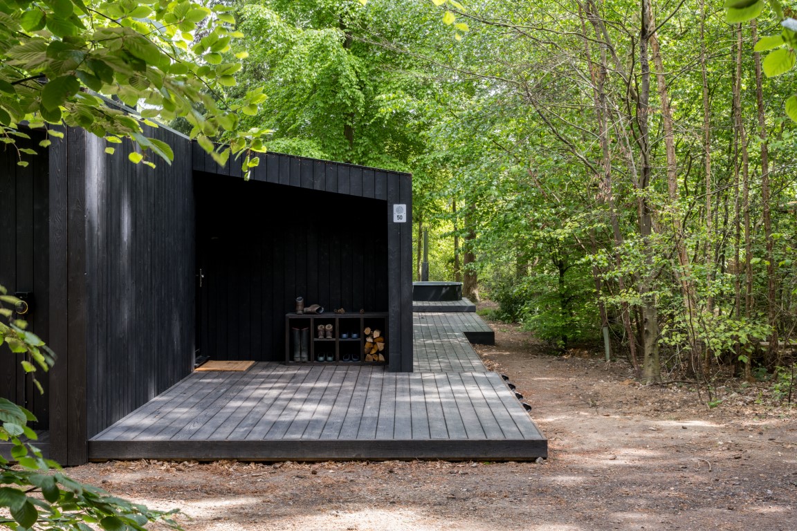 terrasse grande maison design en bois