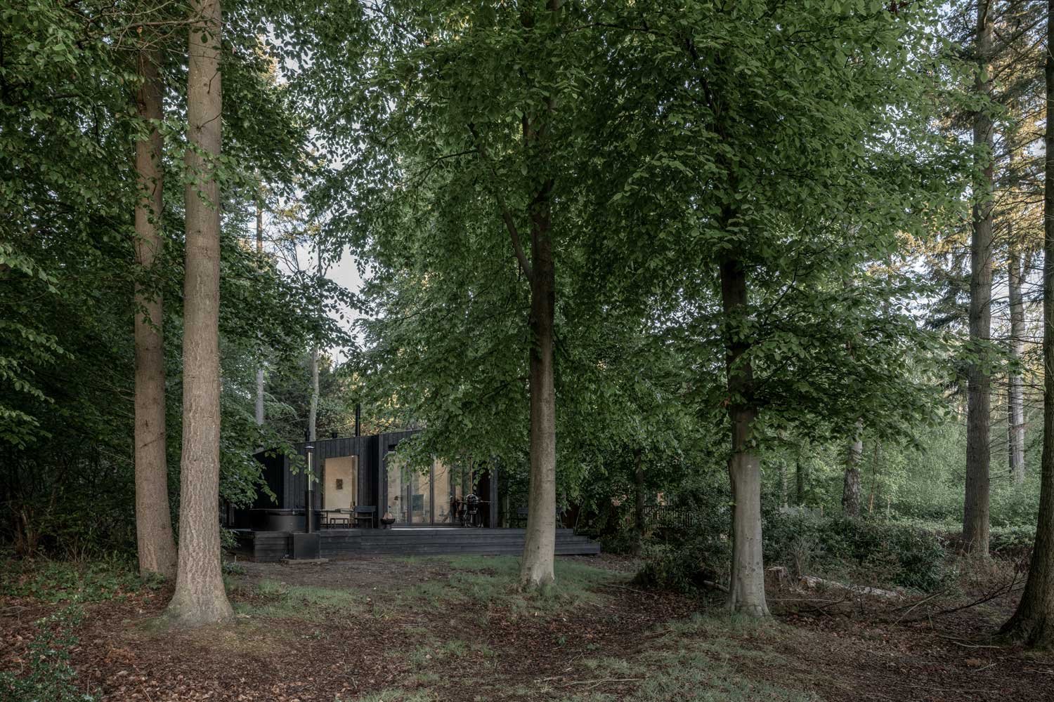 grande maison design en bois