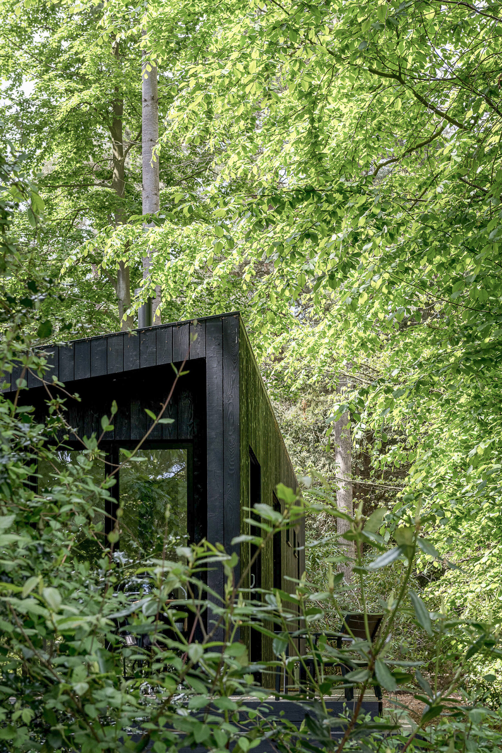 grande maison design en bois