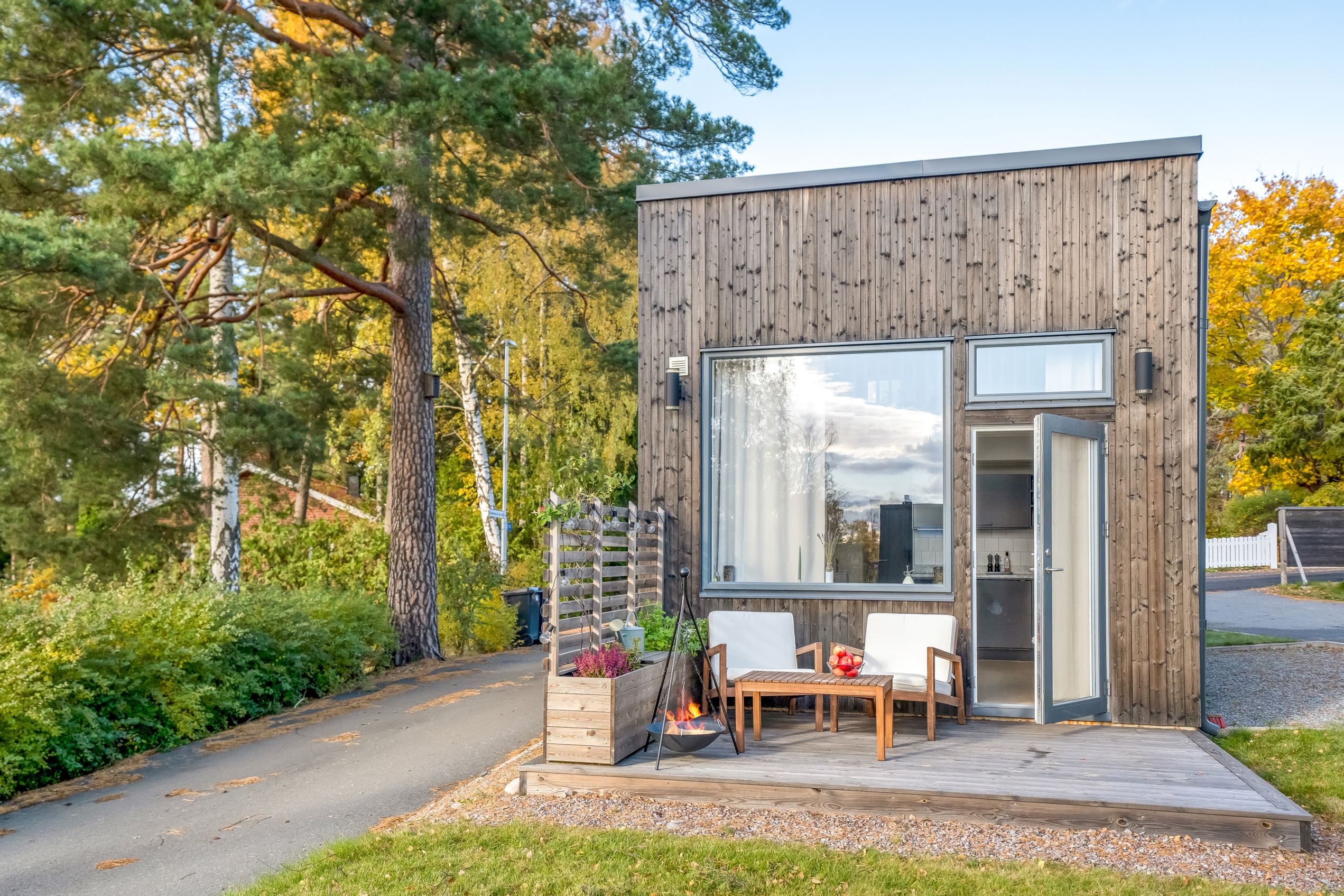 mini maison en bois 29m2