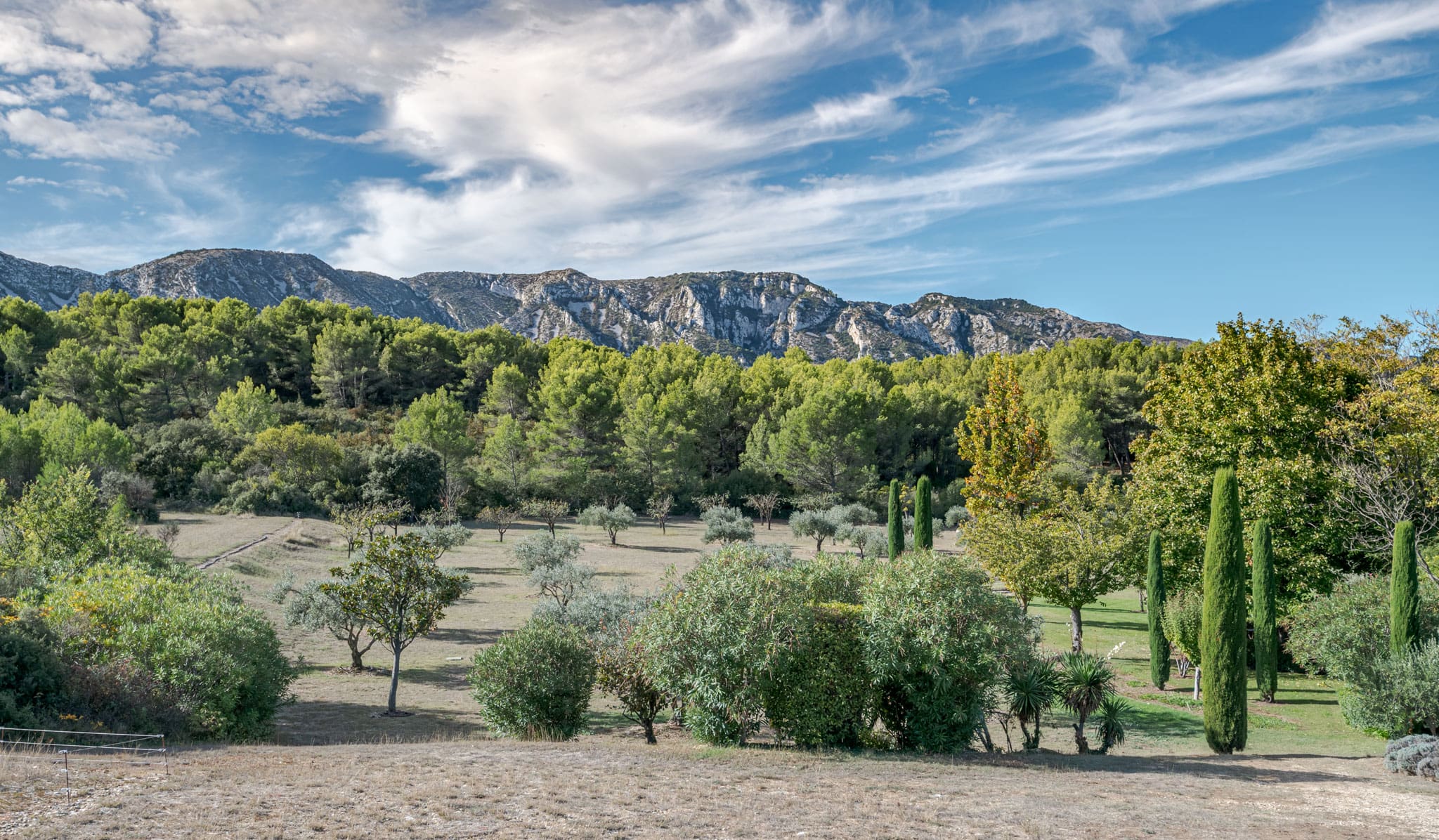 jardin provençal avec vue montagne jardin provençal avec vue montagne