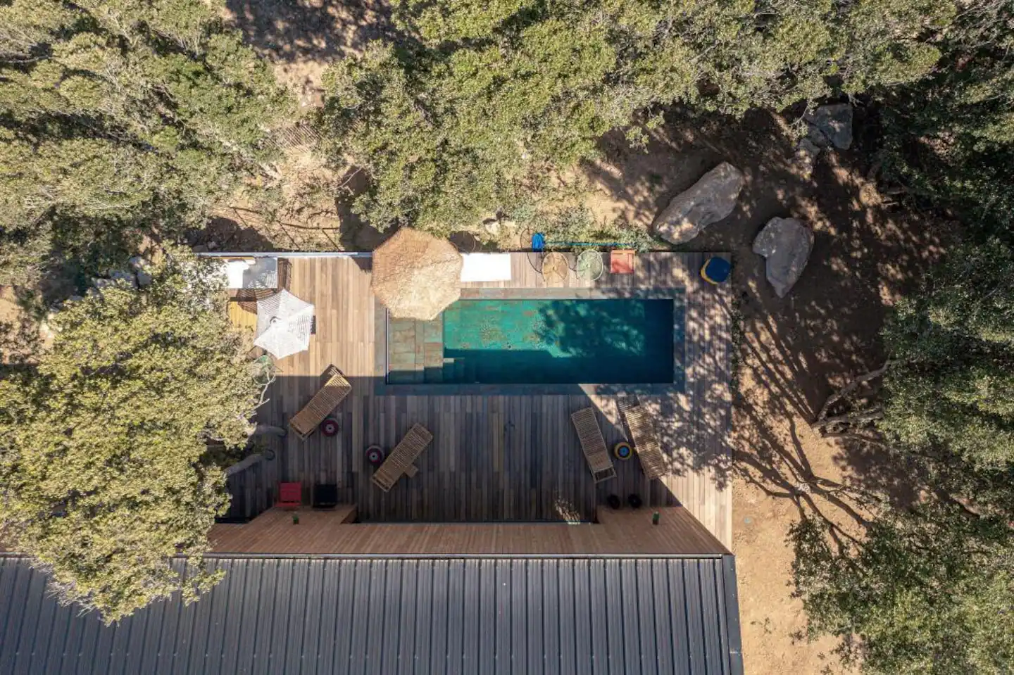 jardin avec piscine