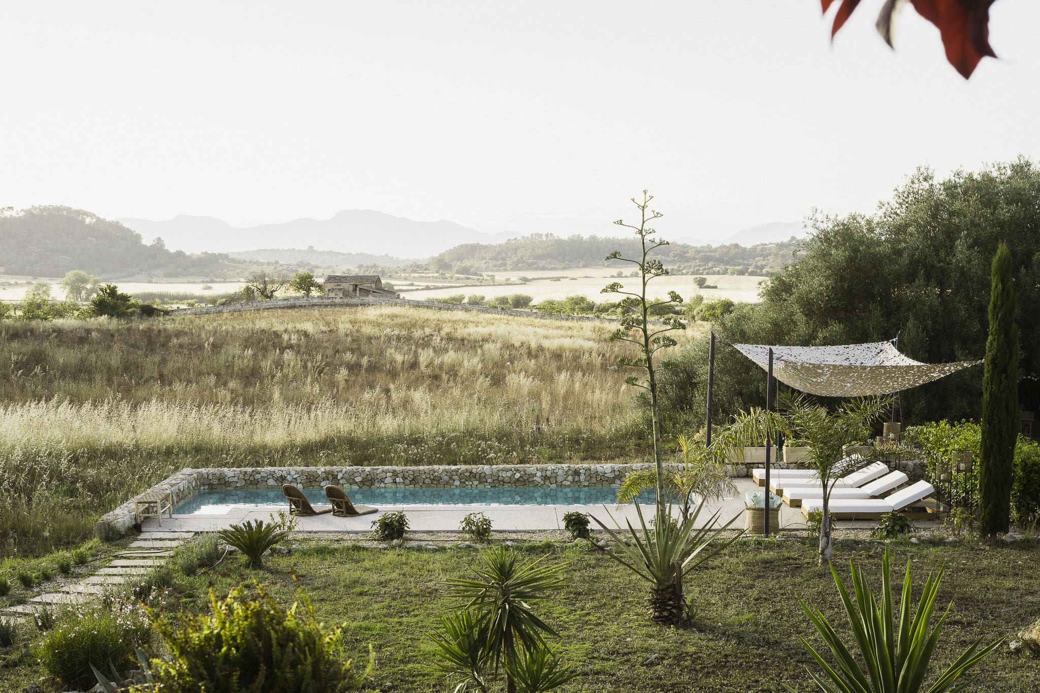 piscine vue campagne
