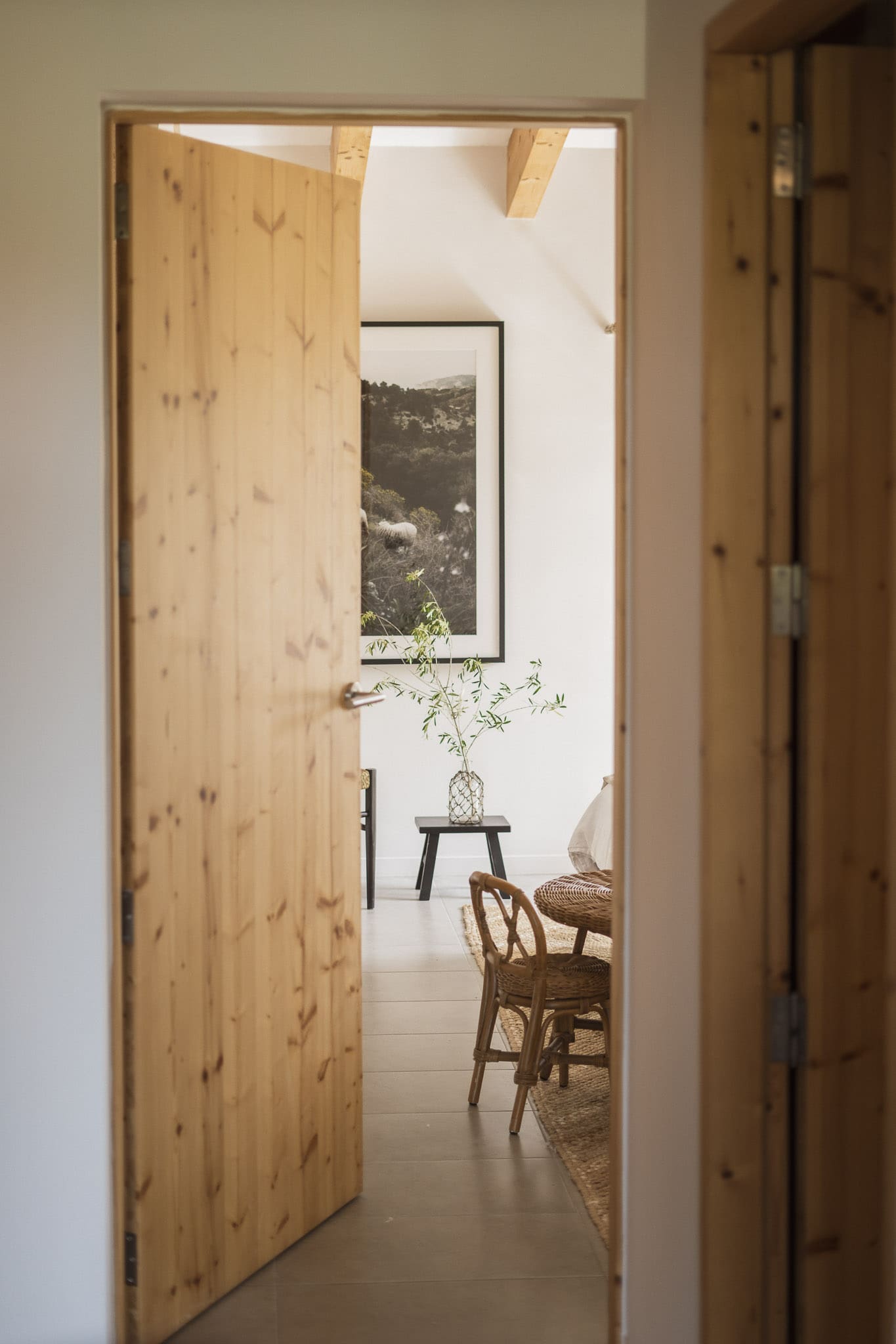 porte intérieure bois