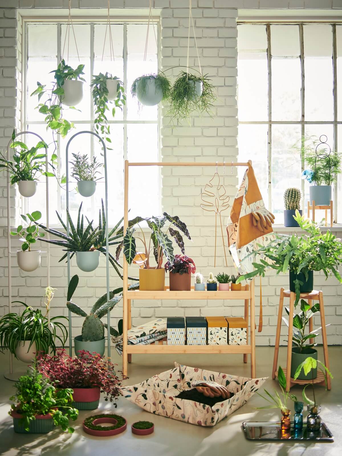 IKEA 2024 collection DAKSJUS plantes IKEA 2024 collection DAKSJUS plantes