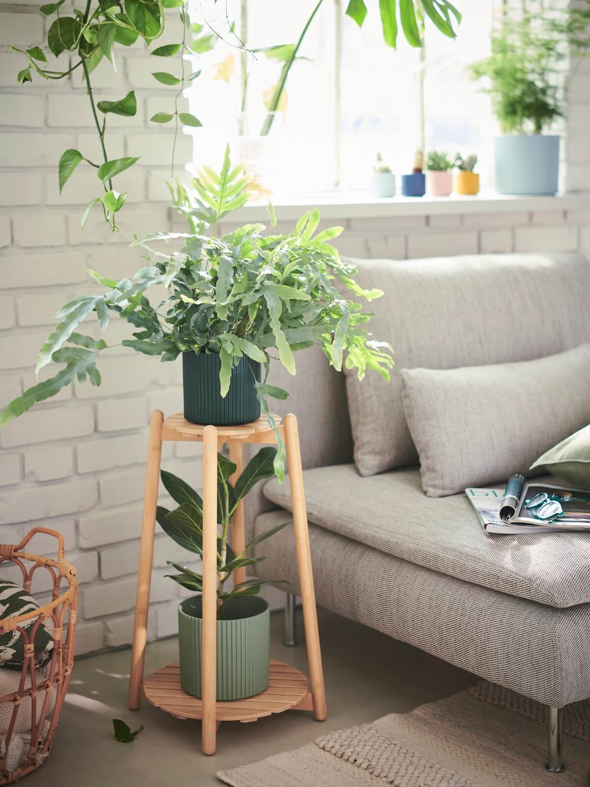 porte-plantes IKEA 2024 collection DAKSJUS plantes porte-plantes IKEA 2024 collection DAKSJUS plantes