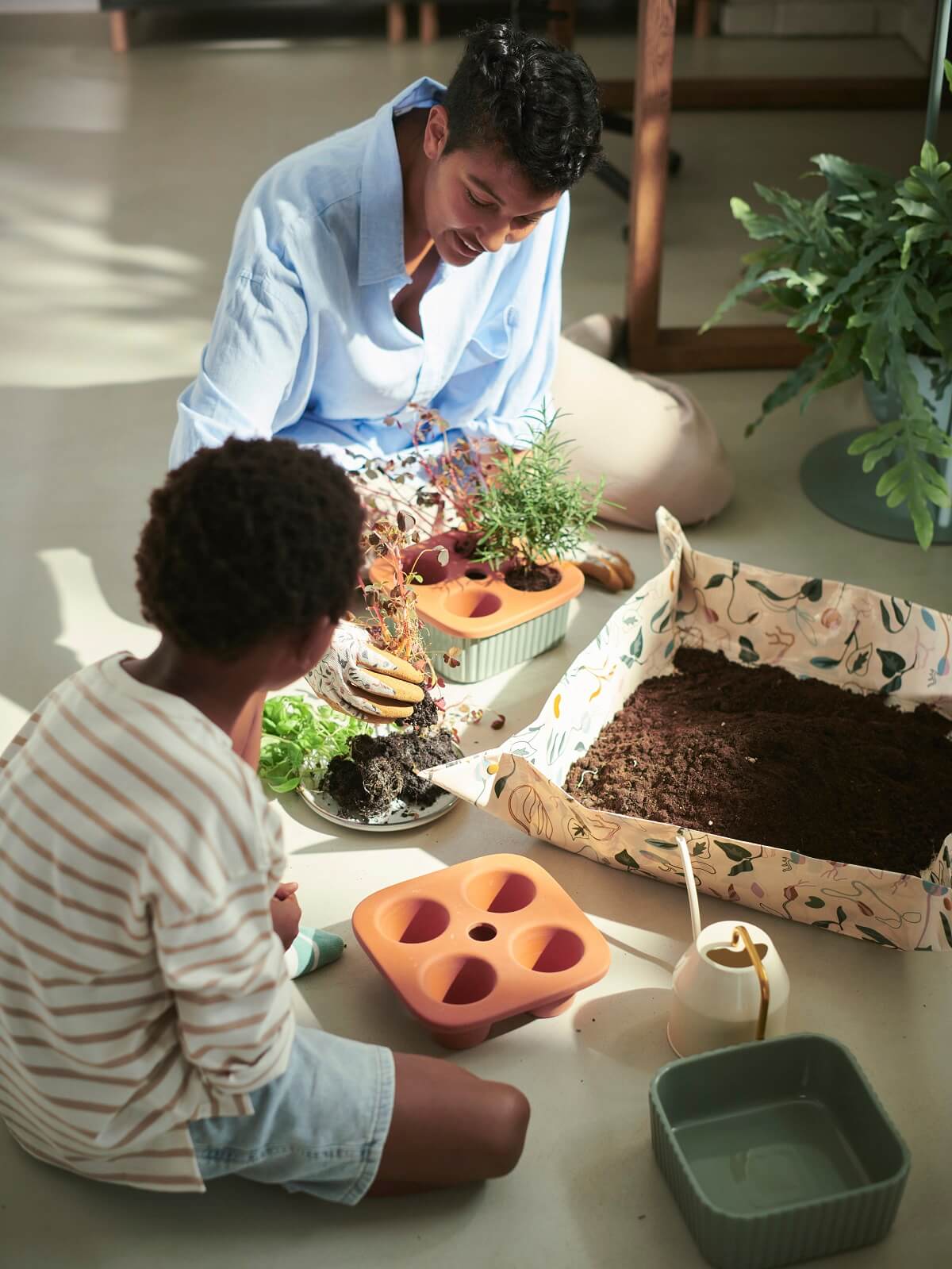 IKEA 2024 collection DAKSJUS plantes IKEA 2024 collection DAKSJUS plantes