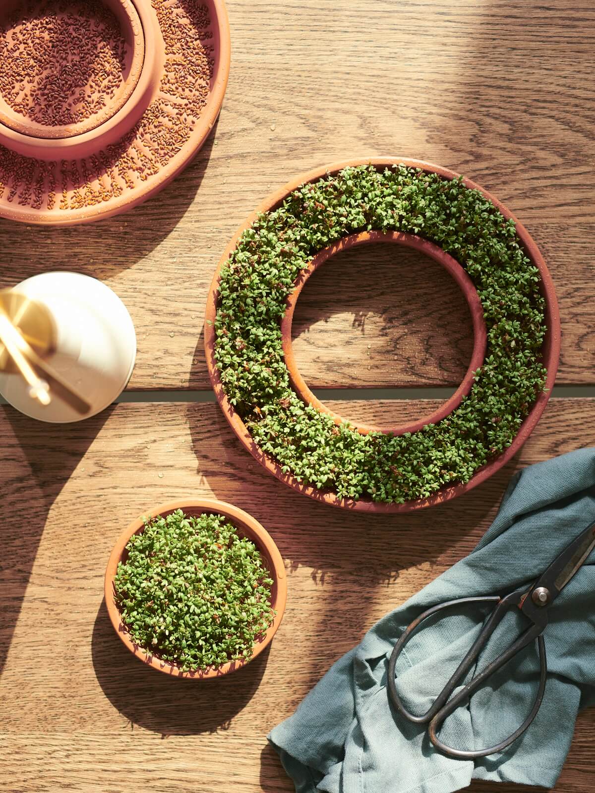 semoir IKEA 2024 collection DAKSJUS plantes semoir IKEA 2024 collection DAKSJUS plantes