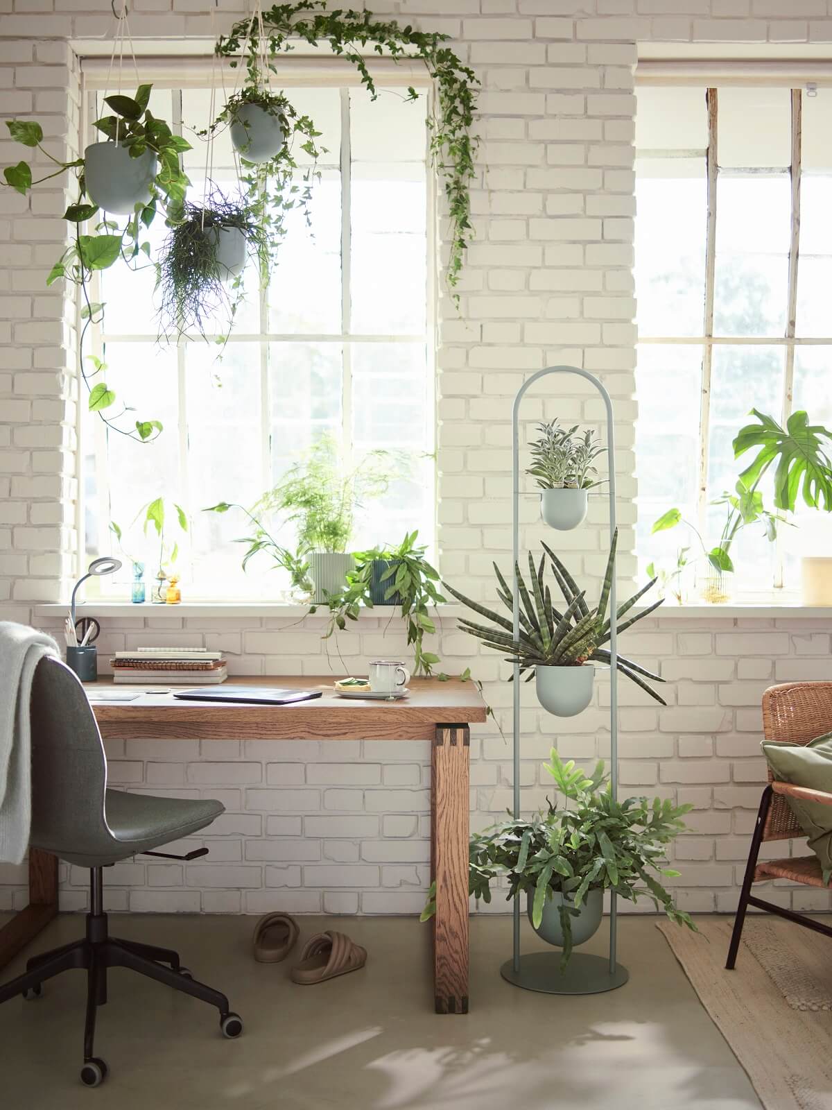 IKEA 2024 collection DAKSJUS plantes IKEA 2024 collection DAKSJUS plantes