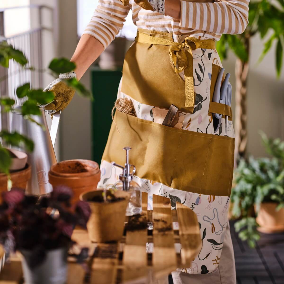 IKEA 2024 collection DAKSJUS plantes IKEA 2024 collection DAKSJUS plantes