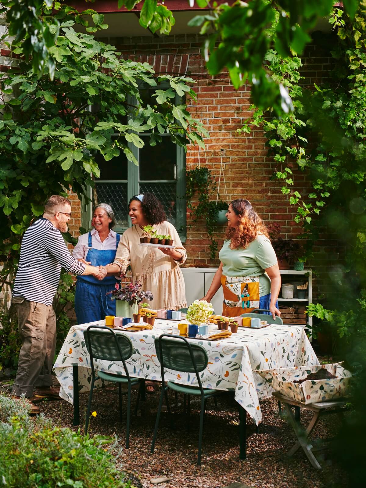 IKEA 2024 collection DAKSJUS plantes IKEA 2024 collection DAKSJUS plantes