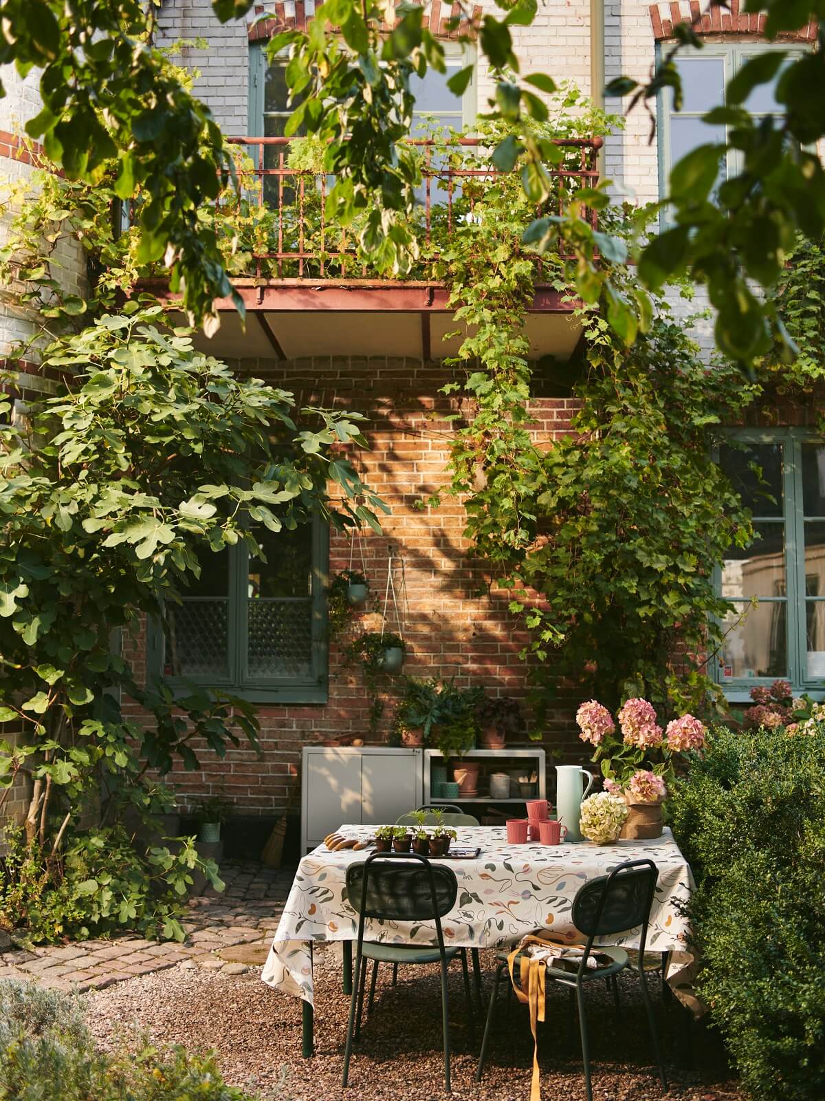 IKEA 2024 collection DAKSJUS plantes IKEA 2024 collection DAKSJUS plantes