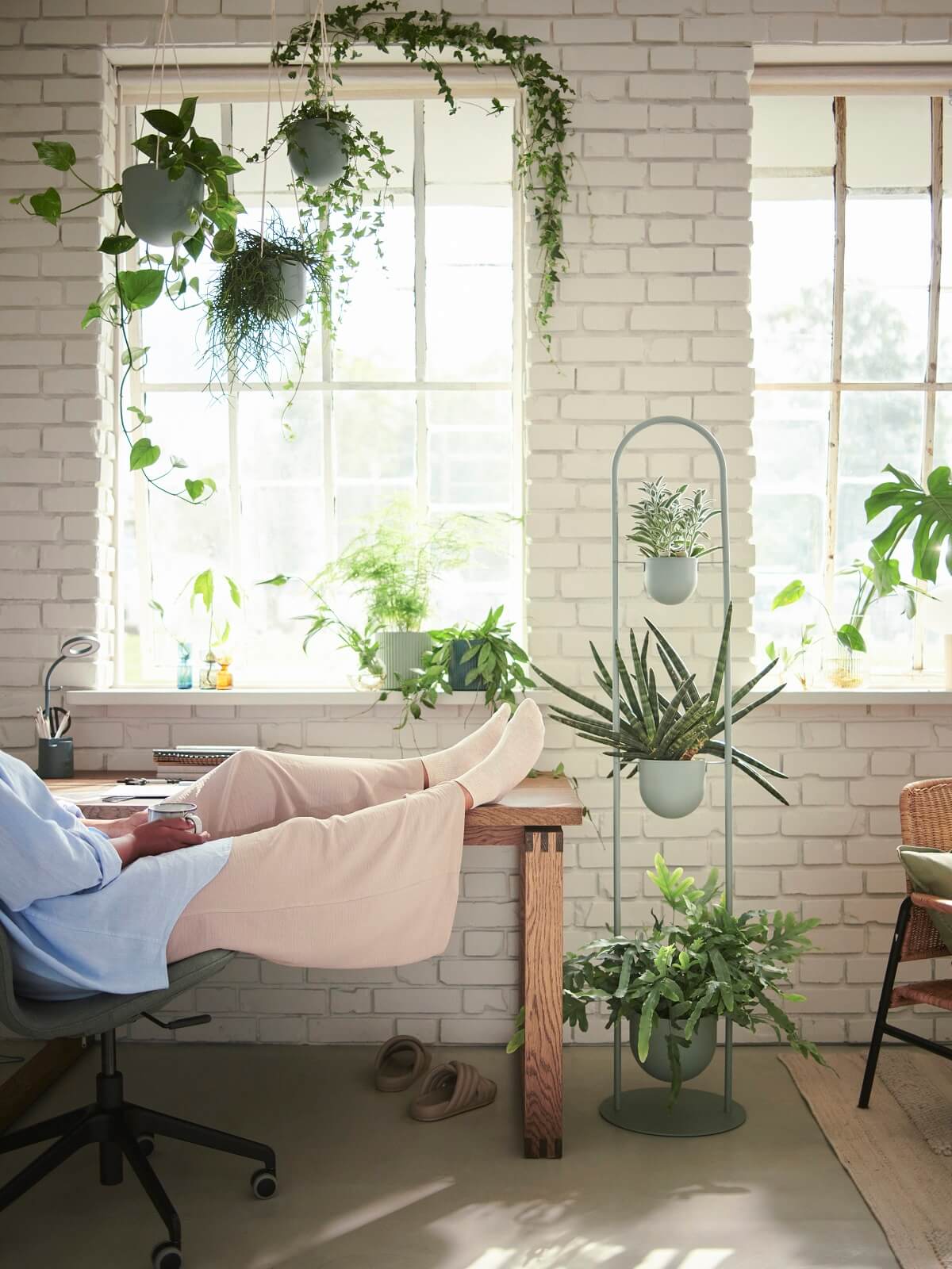 IKEA 2024 collection DAKSJUS plantes IKEA 2024 collection DAKSJUS plantes