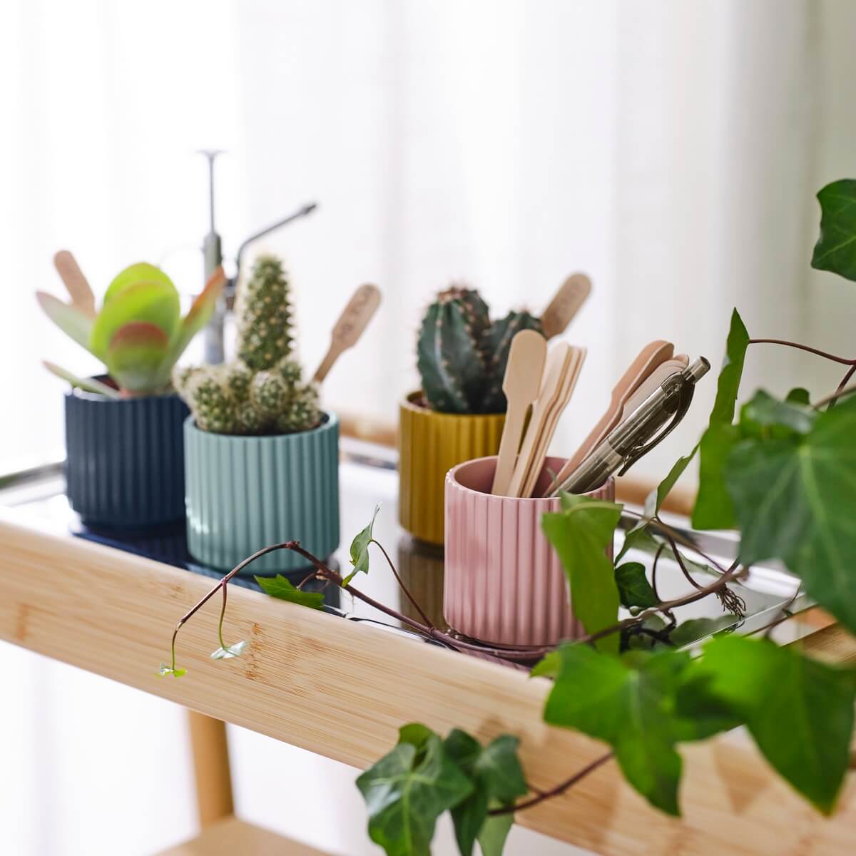IKEA 2024 collection DAKSJUS plantes IKEA 2024 collection DAKSJUS plantes