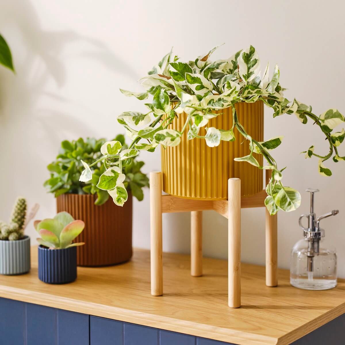 IKEA 2024 collection DAKSJUS plantes IKEA 2024 collection DAKSJUS plantes