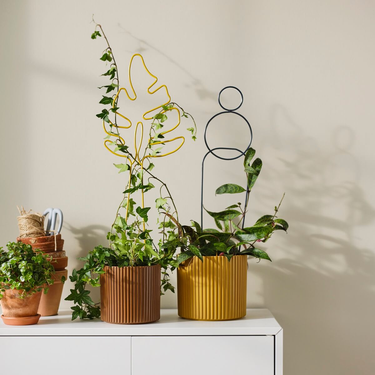 IKEA 2024 collection DAKSJUS plantes IKEA 2024 collection DAKSJUS plantes
