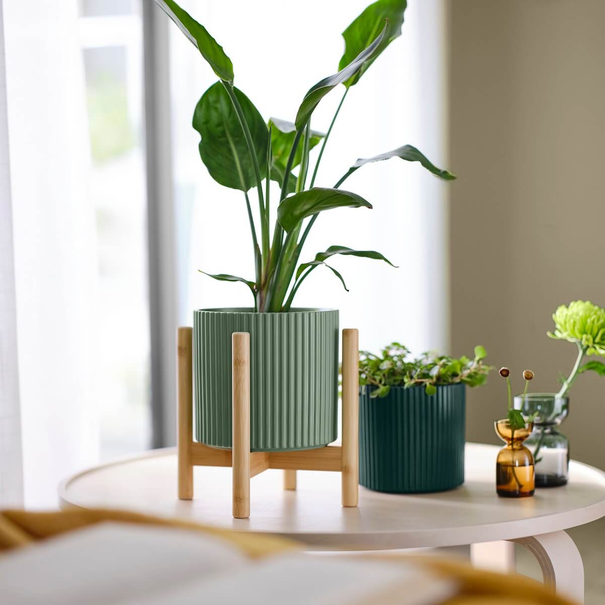 IKEA 2024 collection DAKSJUS plantes IKEA 2024 collection DAKSJUS plantes