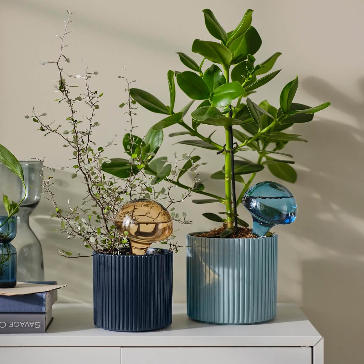 IKEA 2024 collection DAKSJUS plantes IKEA 2024 collection DAKSJUS plantes