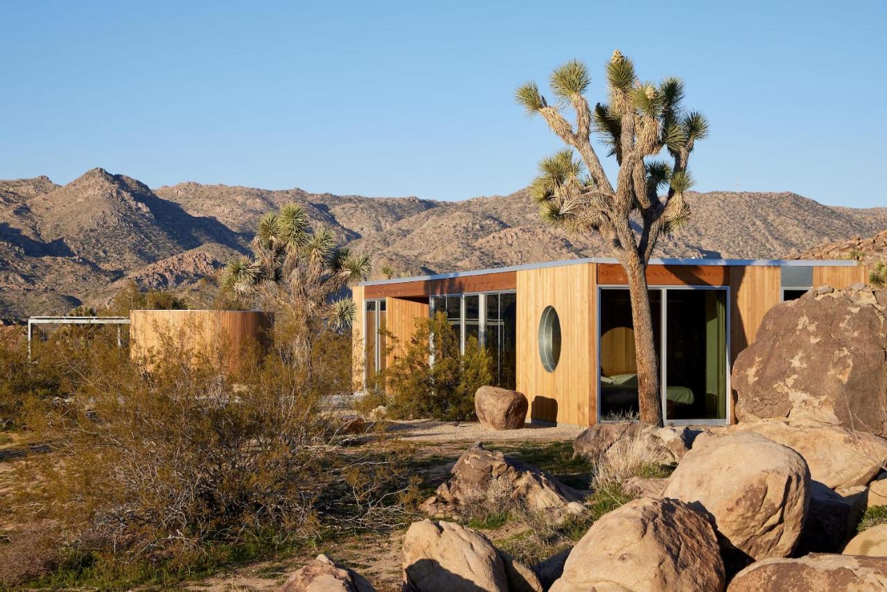 IN1