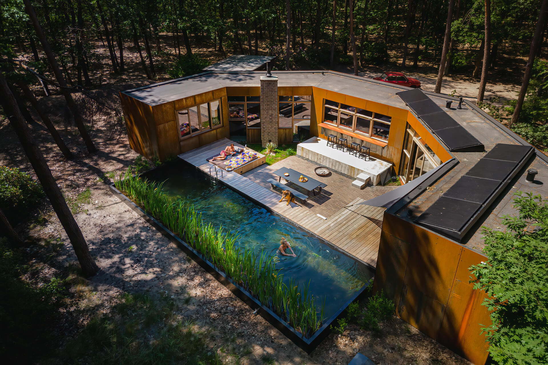 maison contemporaine intérieur bois avec piscine naturelle maison contemporaine intérieur bois avec piscine naturelle