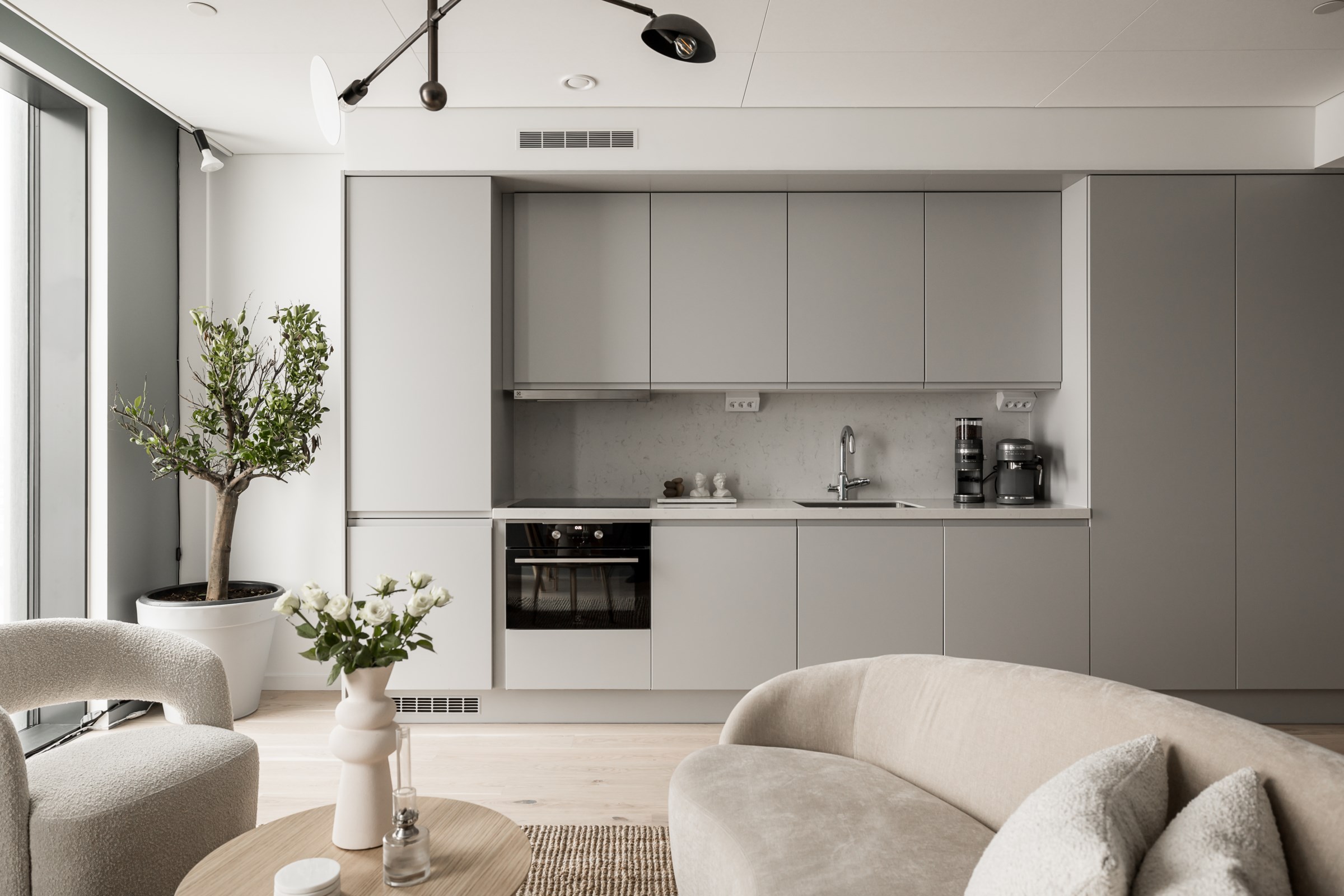 salon et cuisine studio 32m2 design décoration grise