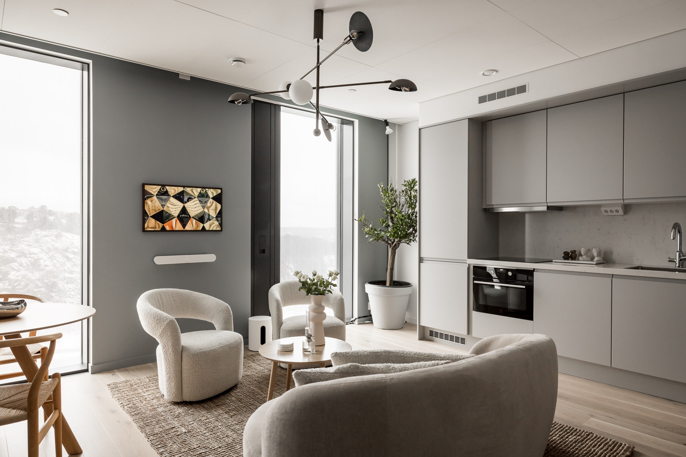 salon et cuisine studio 32m2 design décoration grise