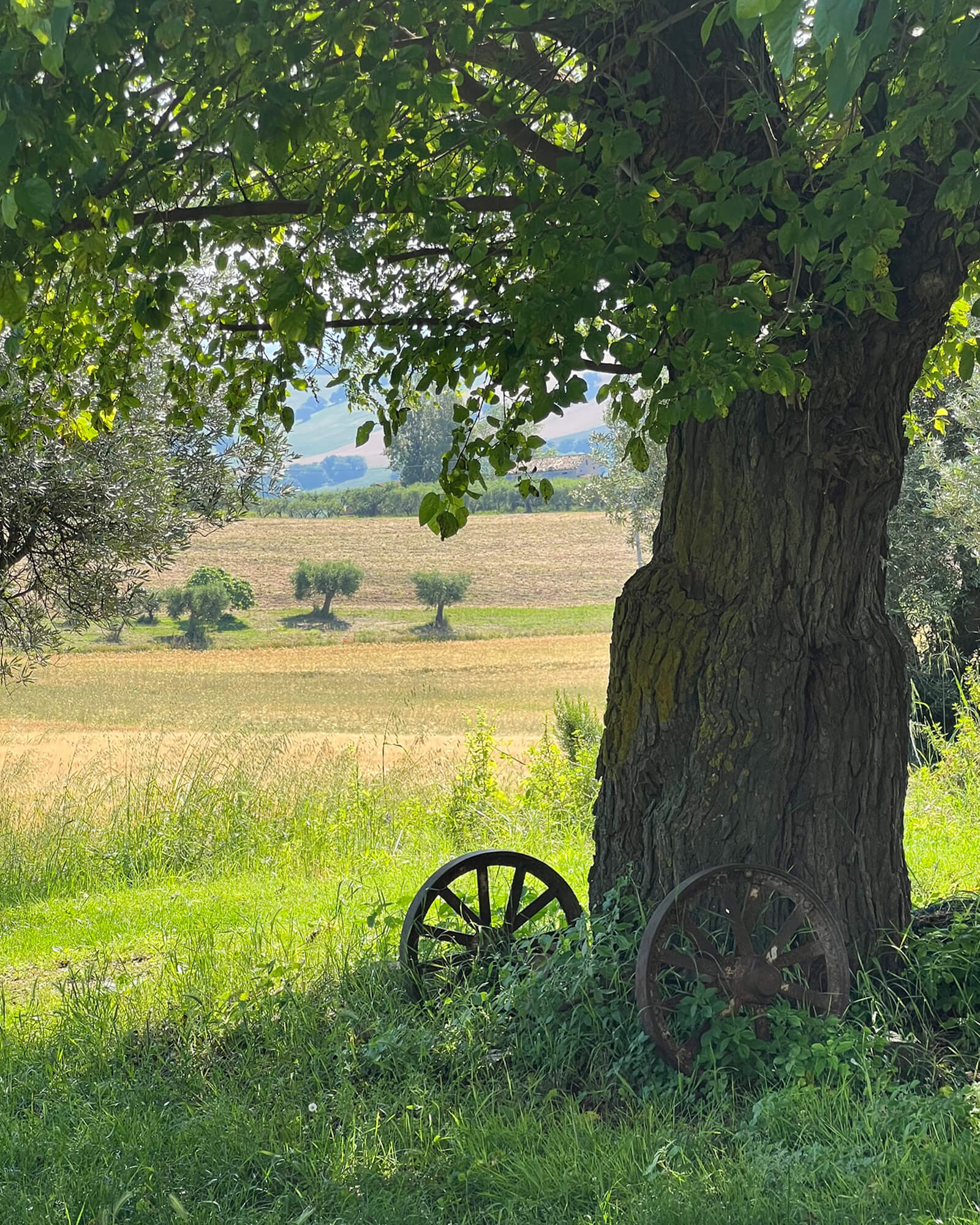 paysage Italie