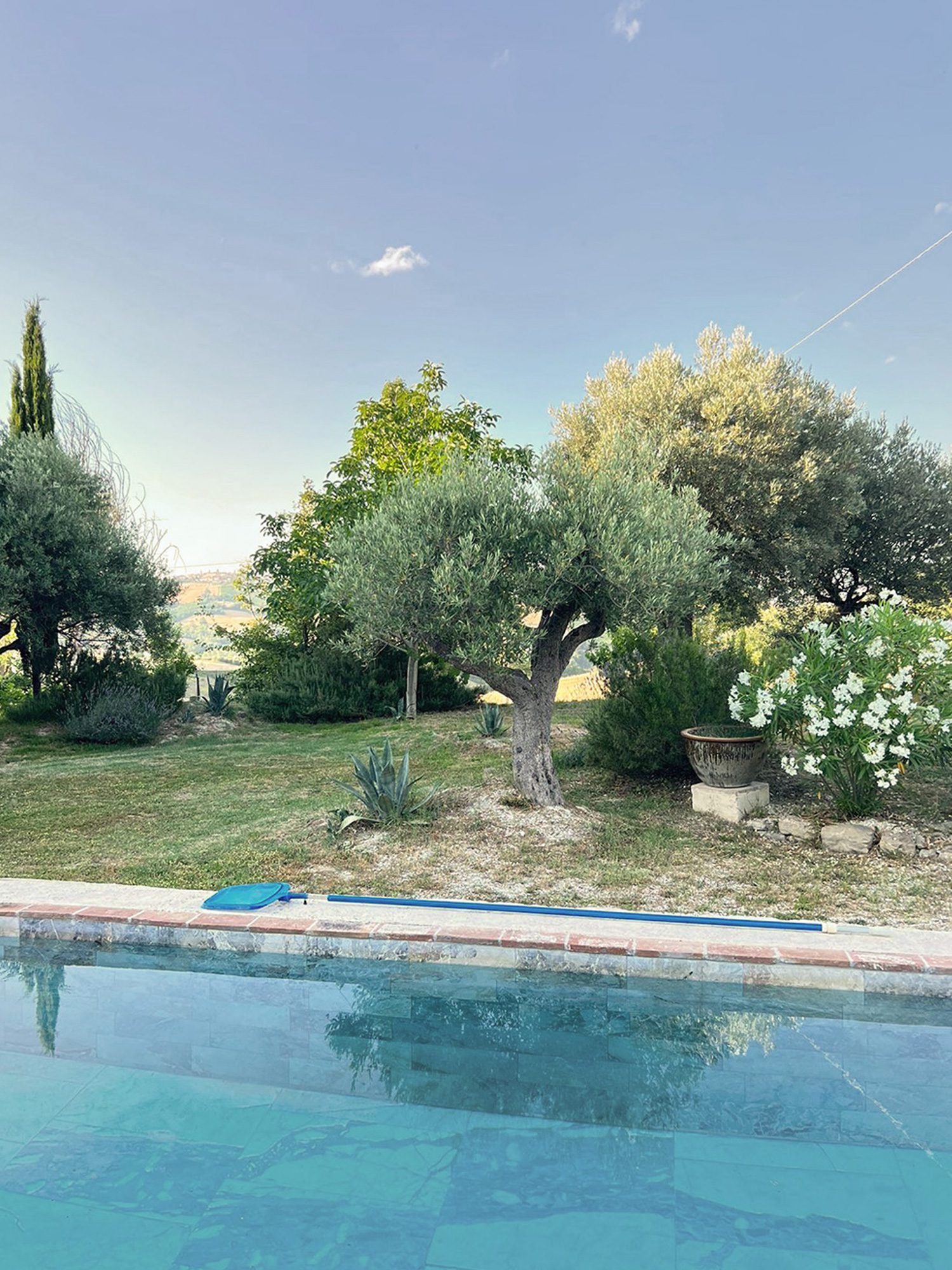 jardin avec piscine