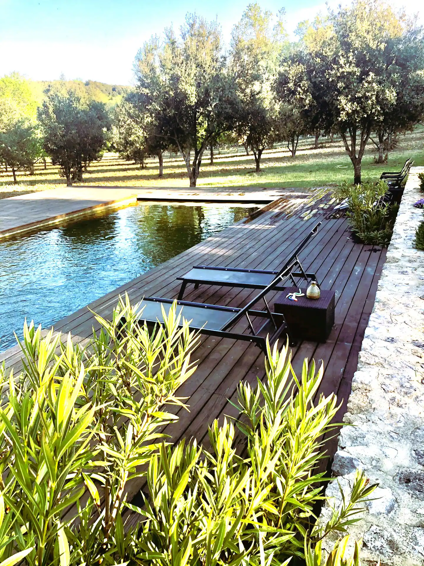 piscine avec plage bois