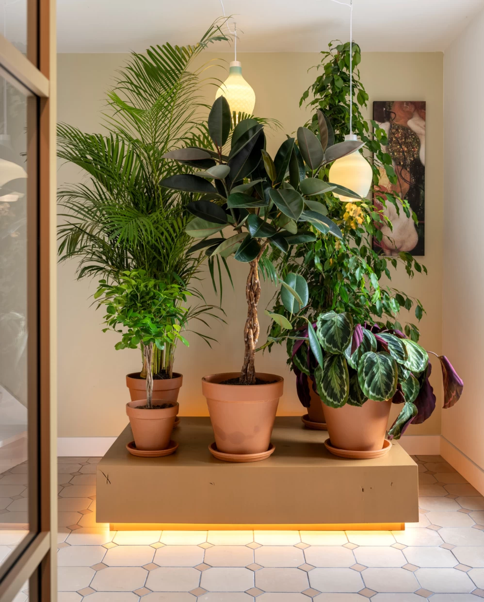 salon avec plantes vertes salon avec plantes vertes