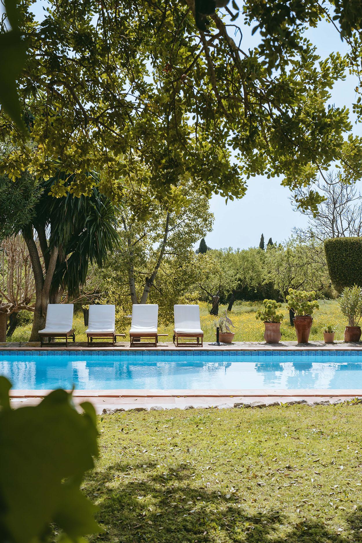 jardin avec piscine jardin avec piscine