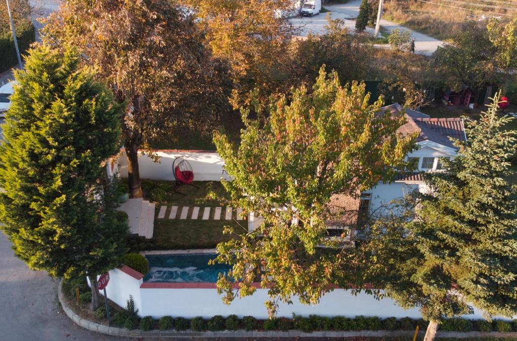 mini maison 42m2 avec piscine Nubu House Turquie mini maison 42m2 avec piscine Nubu House Turquie