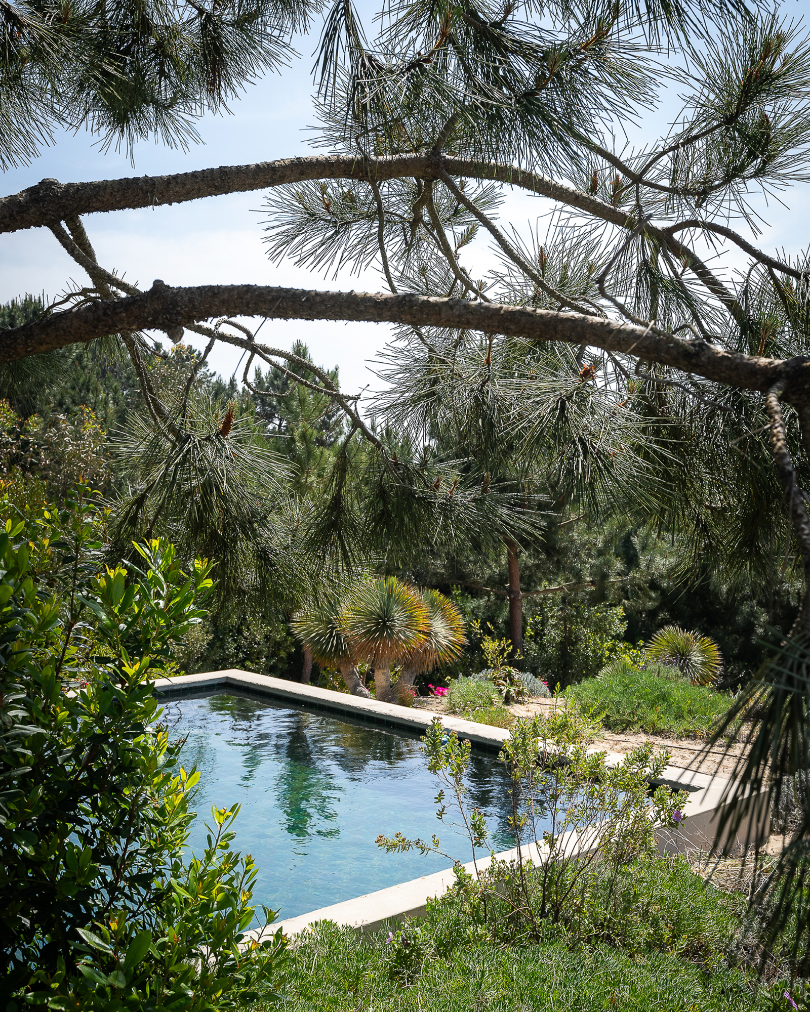 jardin avec piscine maison Comporta jardin avec piscine maison Comporta