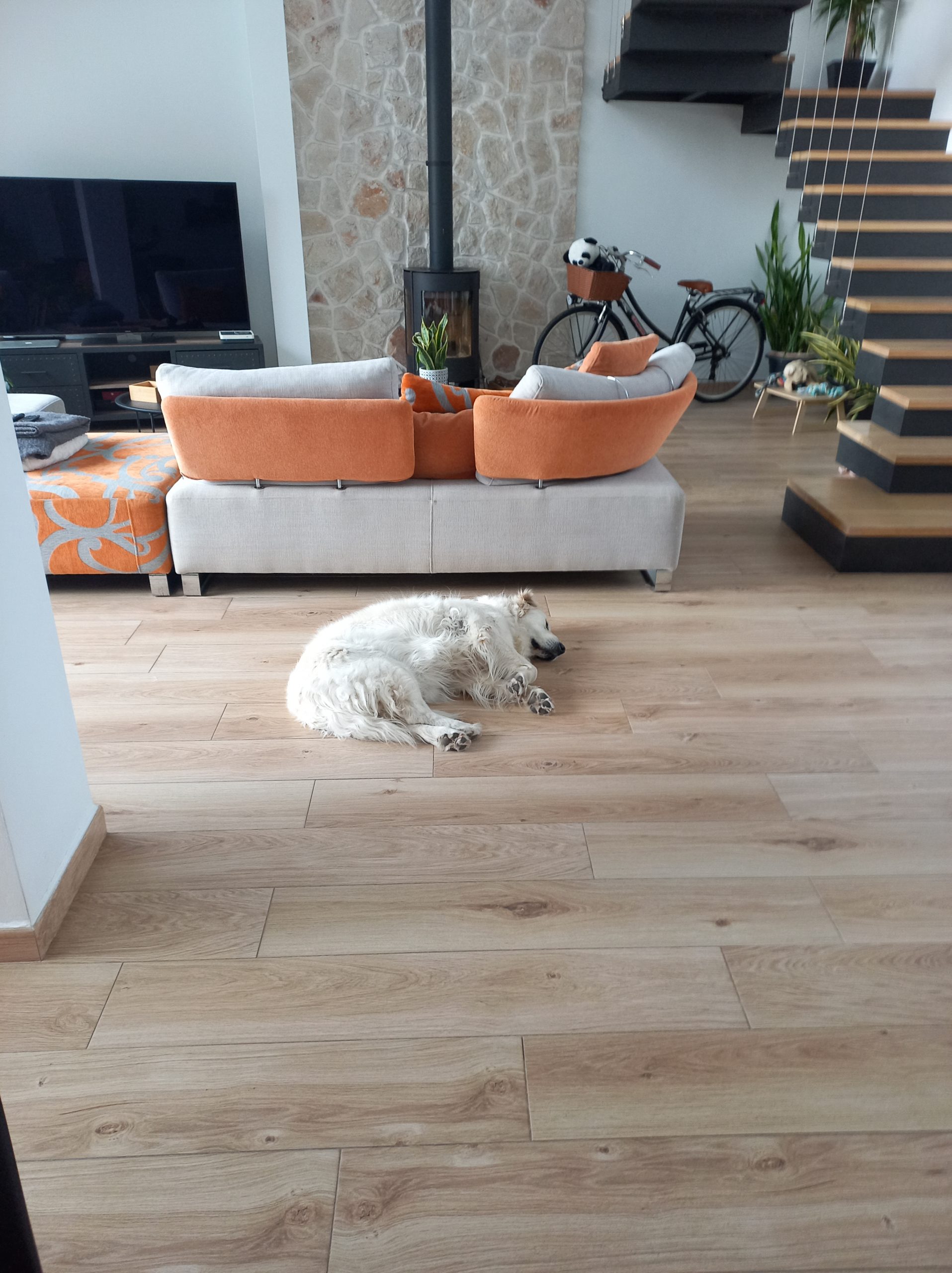 salon loft décoration contemporaine