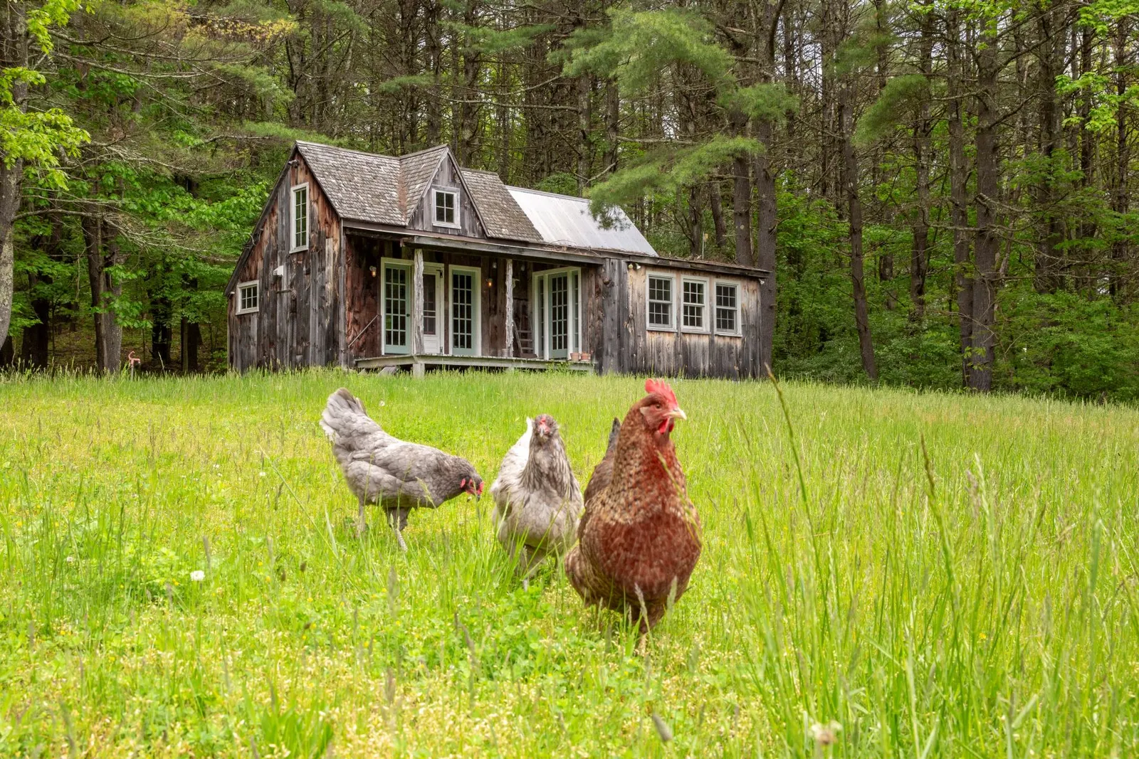 maison en bois
