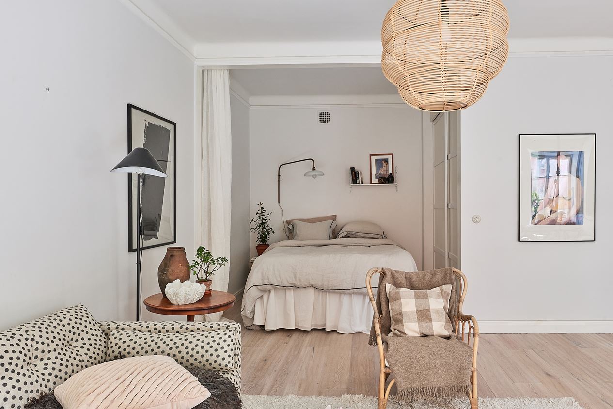 salon avec alcôve studio 46m2