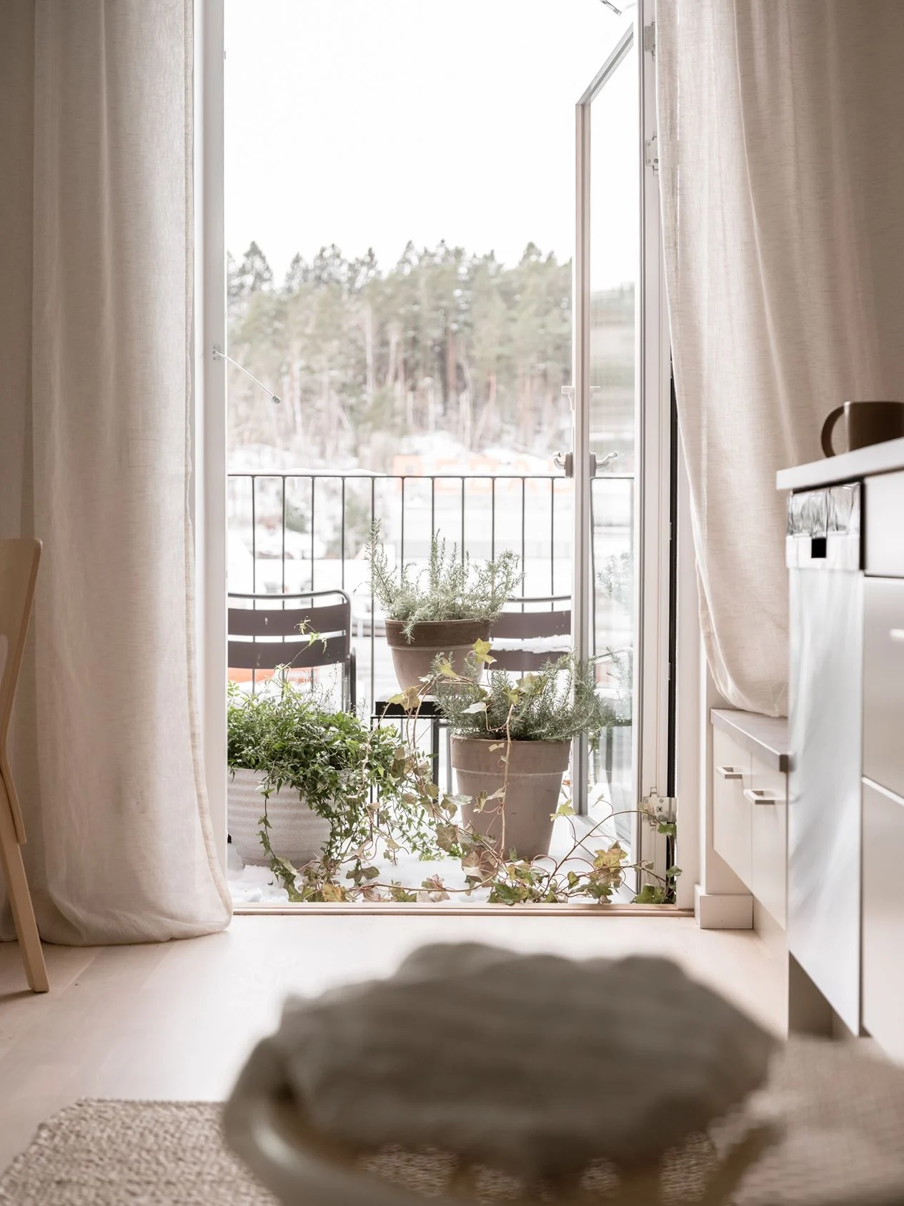balcon avec plantes balcon avec plantes