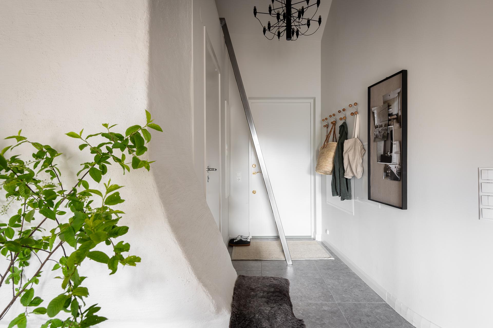 entrée appartement 34m2 entrée appartement 34m2
