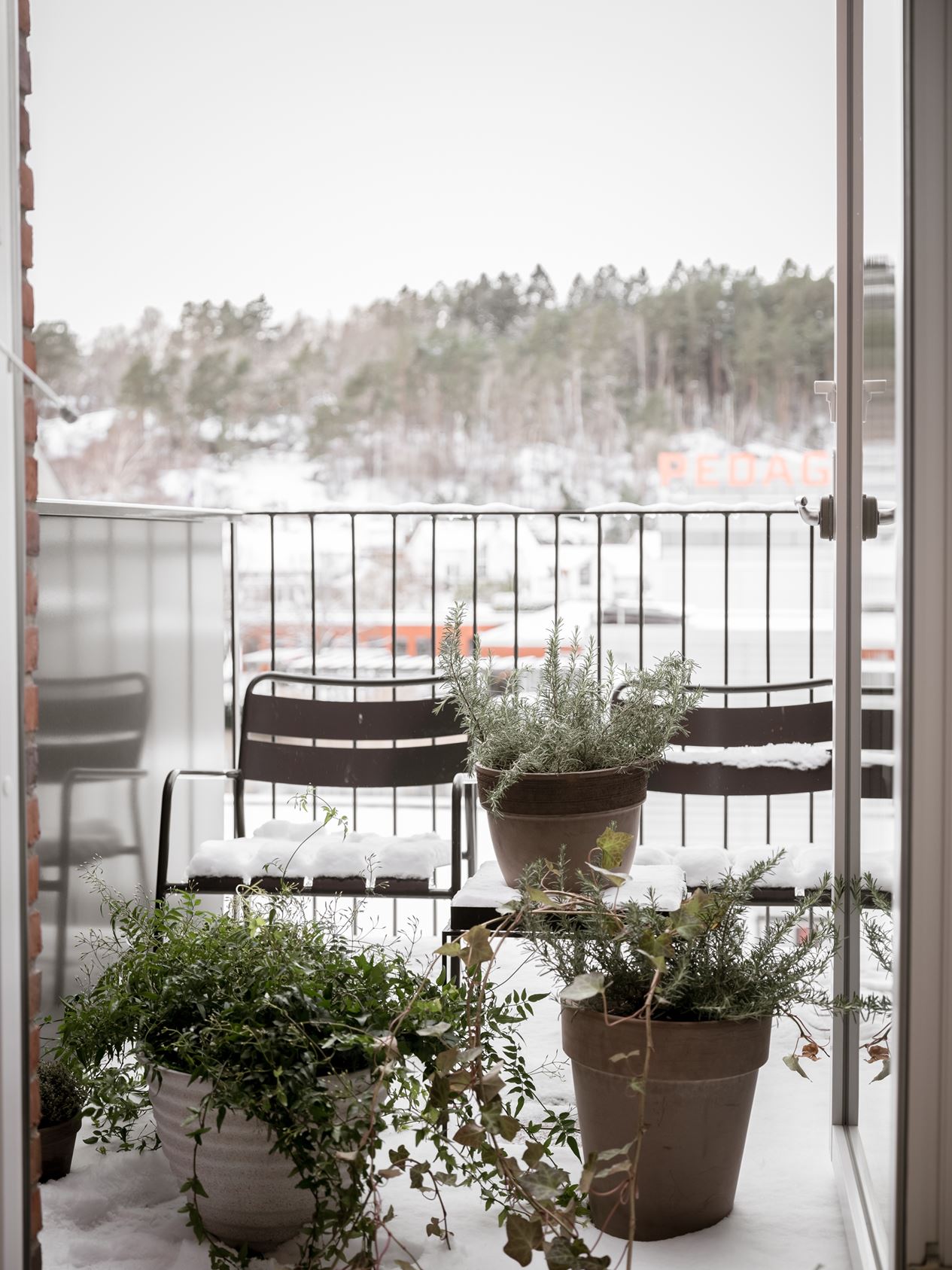 balcon avec plantes balcon avec plantes