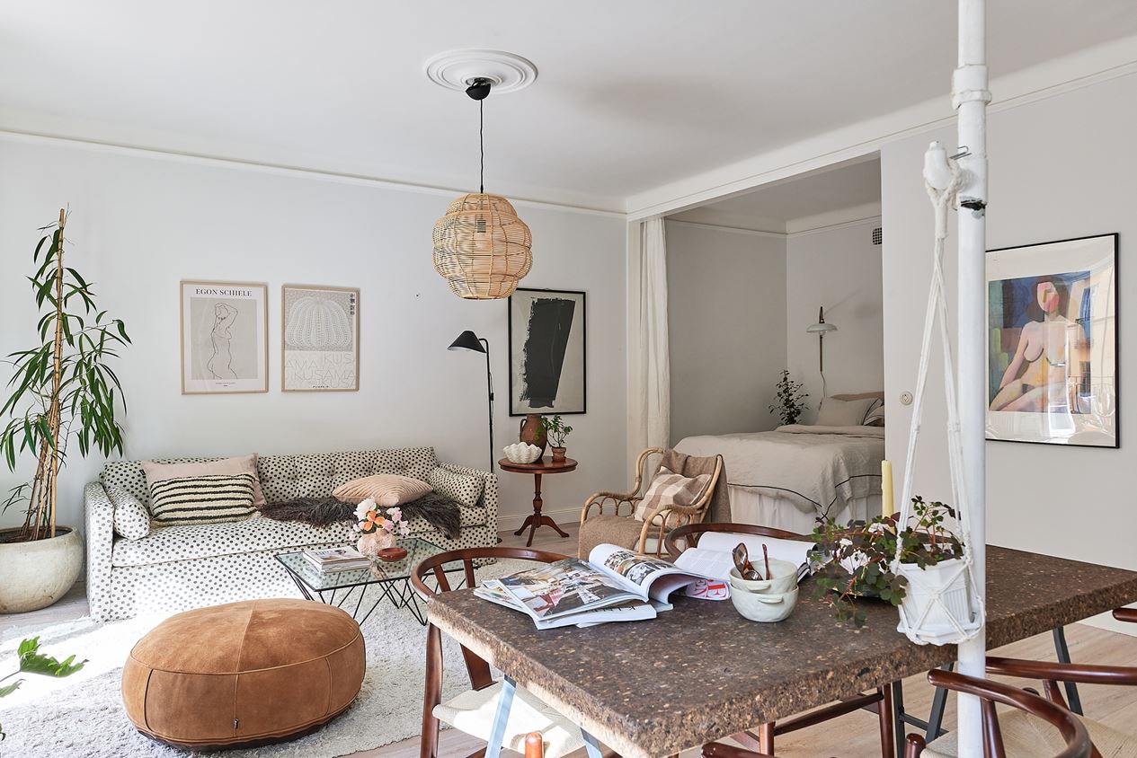 salon avec alcôve studio 46m2